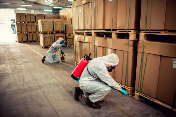 Stock Island, FL Pest Control Company