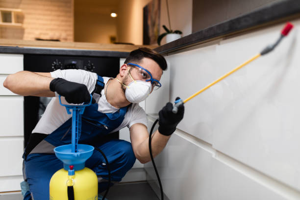 Best Affordable Pest Control Services  in Stock Island, FL