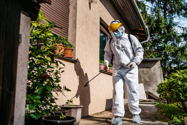 Best Pest Control for Restaurants  in Stock Island, FL