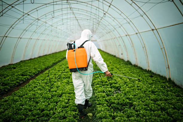 Best Pest Control Near Me  in Stock Island, FL
