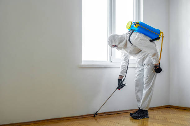 Wasp Removal Services in Stock Island, FL