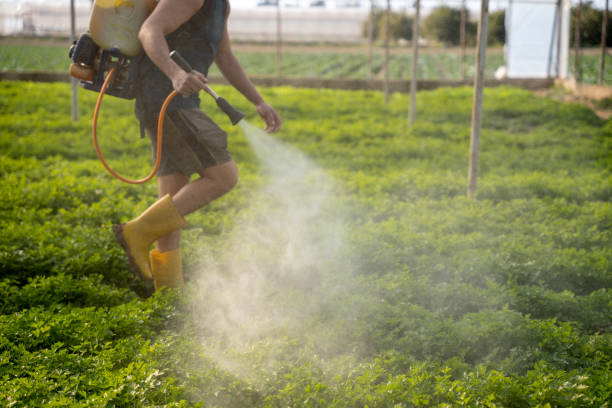 Best Emergency Pest Control  in Stock Island, FL