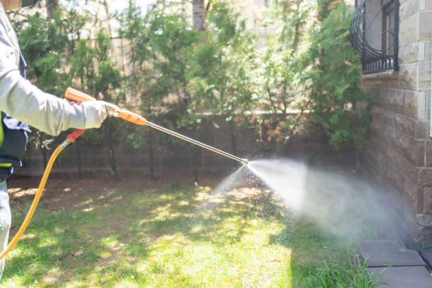 Best Termite Control Services  in Stock Island, FL