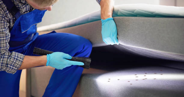Best Exterminator Services  in Stock Island, FL