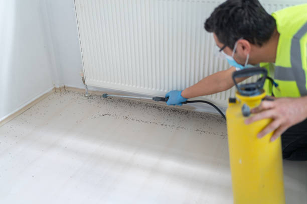 Best Ant Control Services  in Stock Island, FL