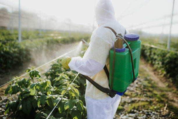 Best Affordable Pest Control Services  in Stock Island, FL